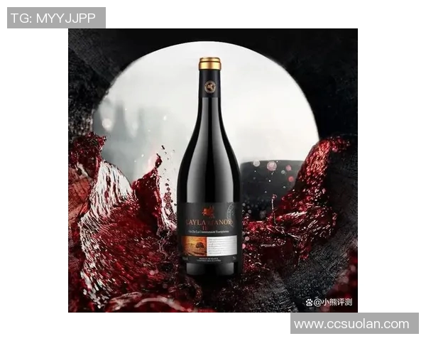 足球传奇与红酒佳酿的完美邂逅展现球星风采与酒文化魅力