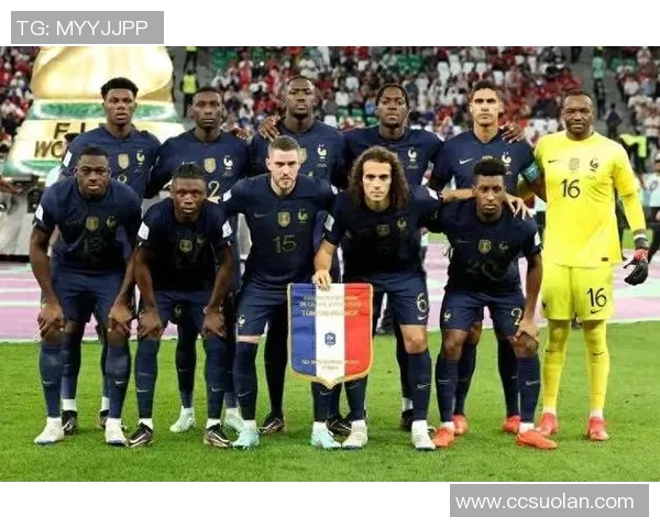 法国足球队中的白人球星及其在球队中的重要地位分析